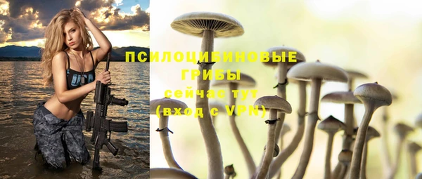 бутират Тында